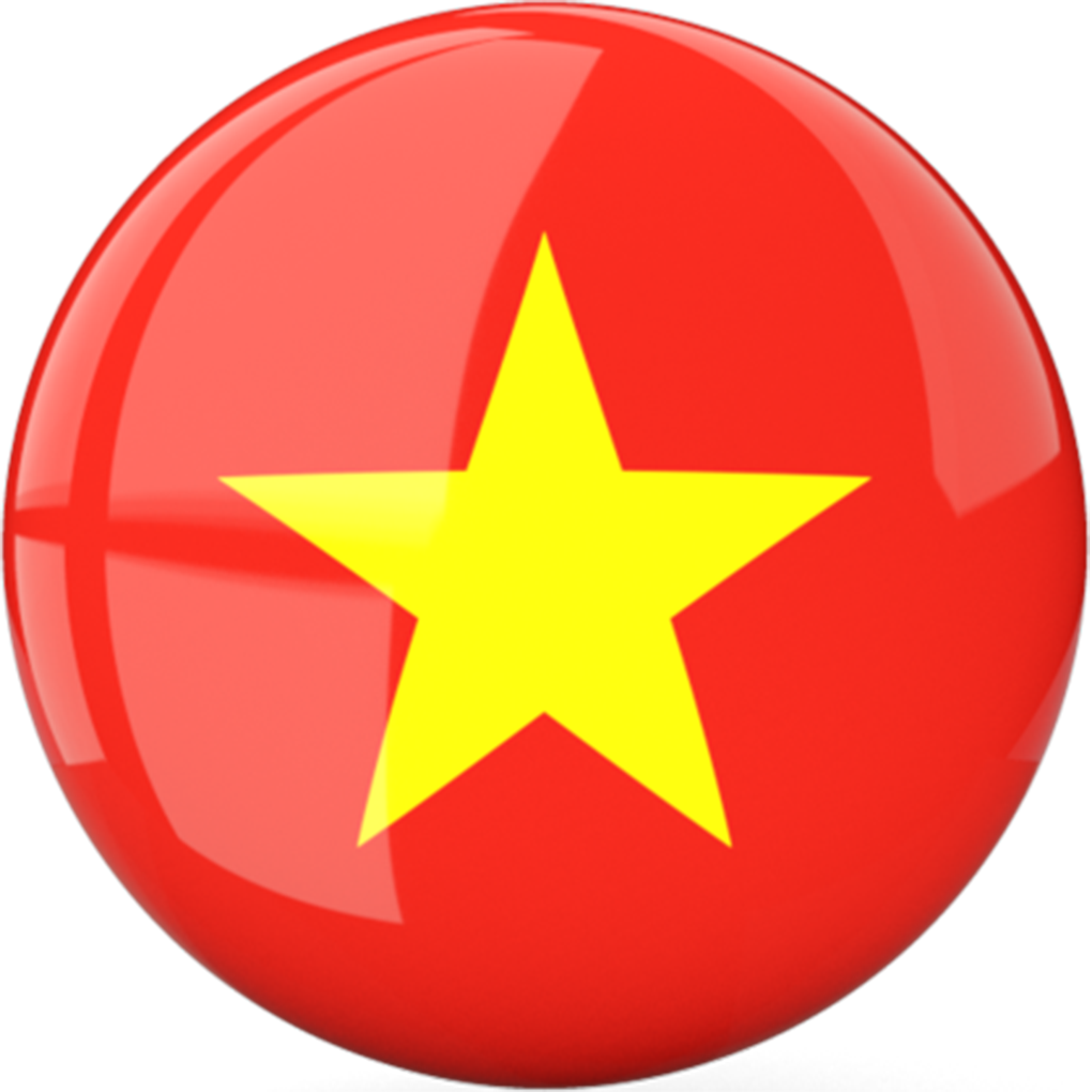 Bandera de Vietnam